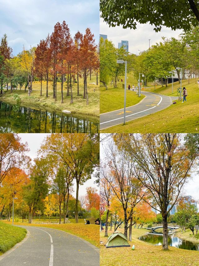成都單車之旅，我願稱之為最美綠道公園