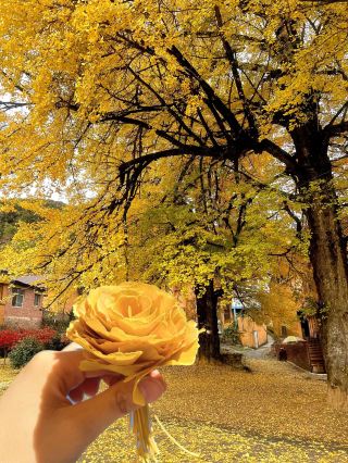 A 1-hour drive from Guilin, this place is a must-visit in autumn!