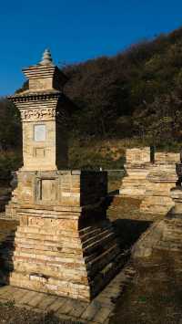 永濟棲岩寺塔林|初探唐塔銘文