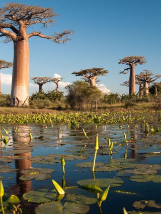 7 Days in Madagascar: A Heartwarming Winter Journey