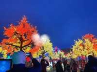 Toronto Illumi Light Show Offers 50% Off Discount