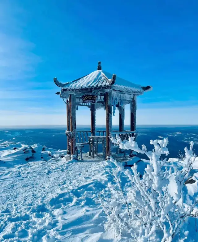 內蒙古玩5天，我的消費觀崩塌了