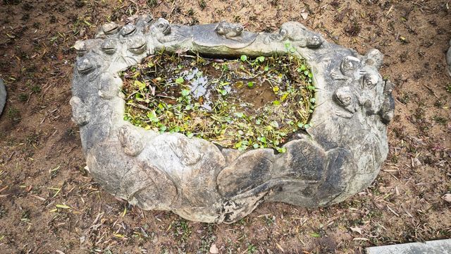 陳村花卉世界銘園的小玩意