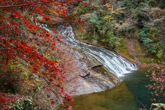 栗又の淹｜養老溪谷紅葉狩