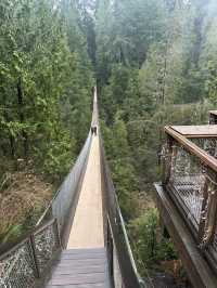 Experience the Thrill of Capilano Suspension Bridge Park