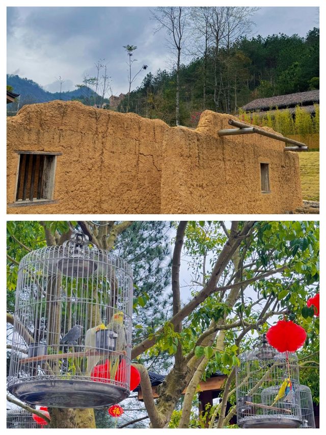 廣西南丹瑤望天下，小眾旅遊新去處！