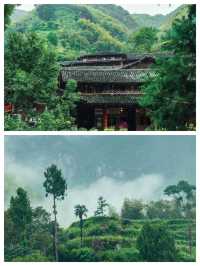 探秘溫州隱世桃源，林坑古村靜候你來！