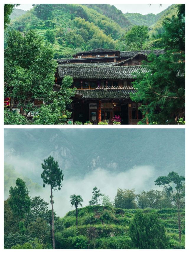 探秘溫州隱世桃源，林坑古村靜候你來！
