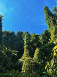 就在浙江！象山的海深得我心「小濟州島」