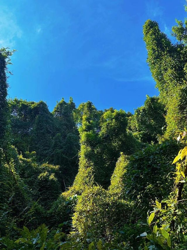 就在浙江！象山的海深得我心「小濟州島」
