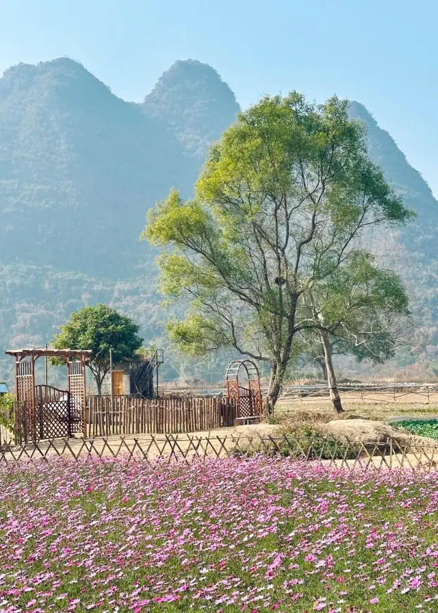 Yangshuo | Yulong River Bamboo Rafting + Cycling, Half-day Tour Guide