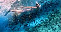 A Spontaneous Trip to the Maldives: Angsana Velavaru and Maafushi
