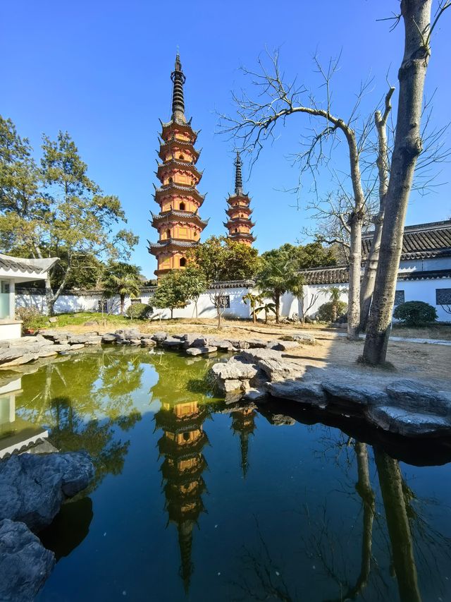 雙塔與蠟梅