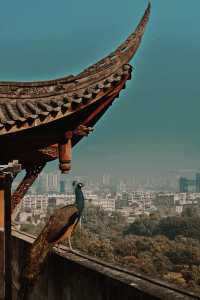 中國酒城（瀘州）