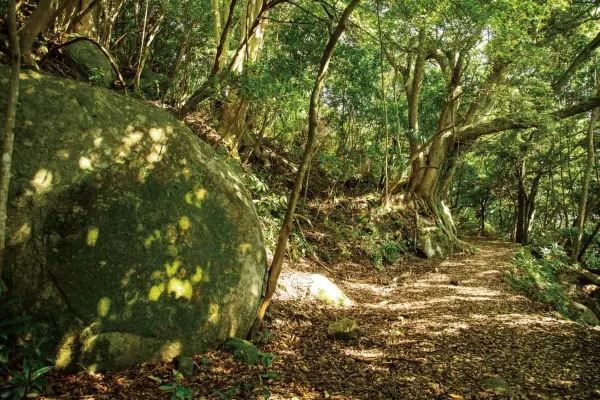三重県の秘境スポット「楯之崎」と「阿古師神社」を探訪しよう！
