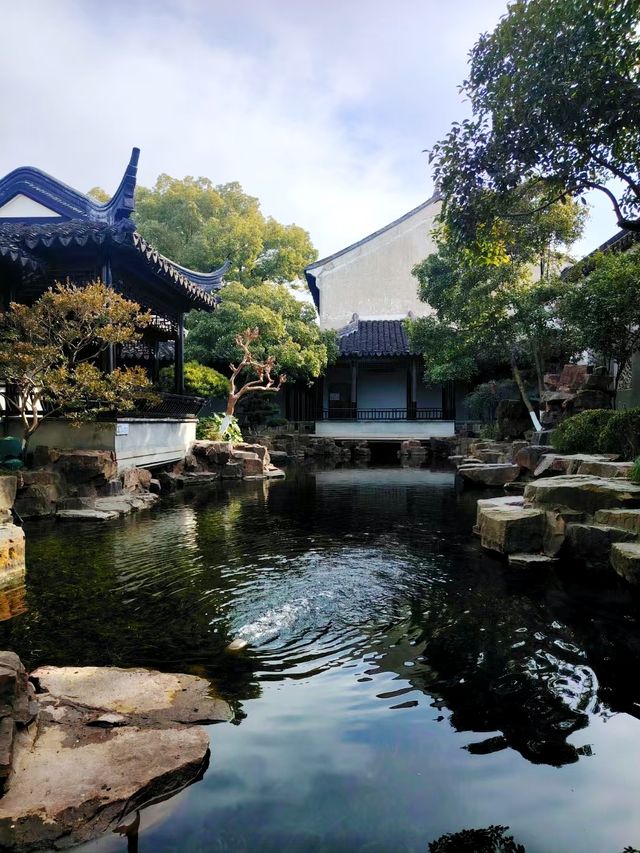 羨園裏，到處臘梅香