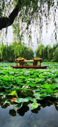 集安•蓮花公園