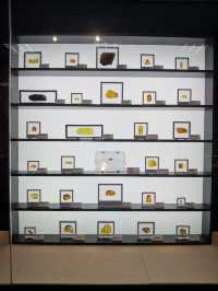 玉碗盛光——珍稀琥珀展