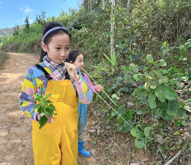 Xishuangbanna rainforest hiking is highly recommended!