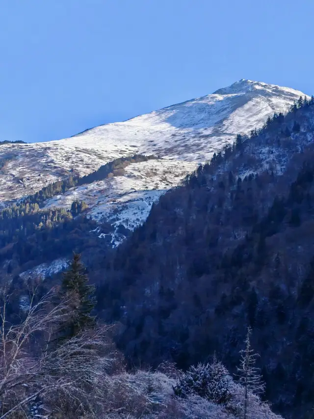 茂縣滑雪必看秘笈 不踩坑