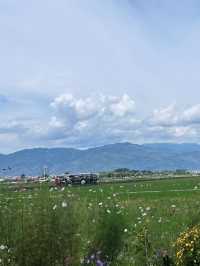 春節暢遊昆明-西雙版納-普洱 6日精選行程建議
