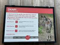 The London Zoo is surely a must visit