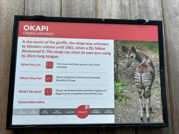 The London Zoo is surely a must visit