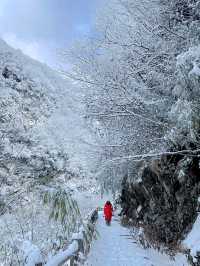 【震撼！大寺冰瀑，冬日仙境打卡地】