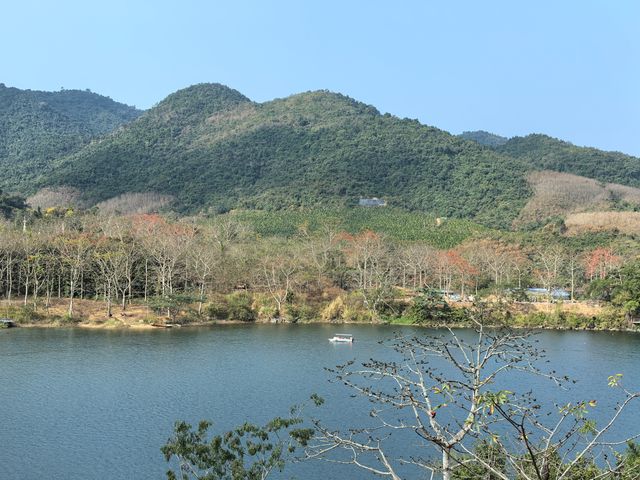 昌化江畔木棉賞花碼頭一一木棉紅景區