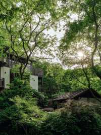 夕上·虎跑1934｜治癒系森林秘境中民國別墅
