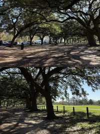 絕美打卡地 | 休斯頓赫曼公園Hermann Park