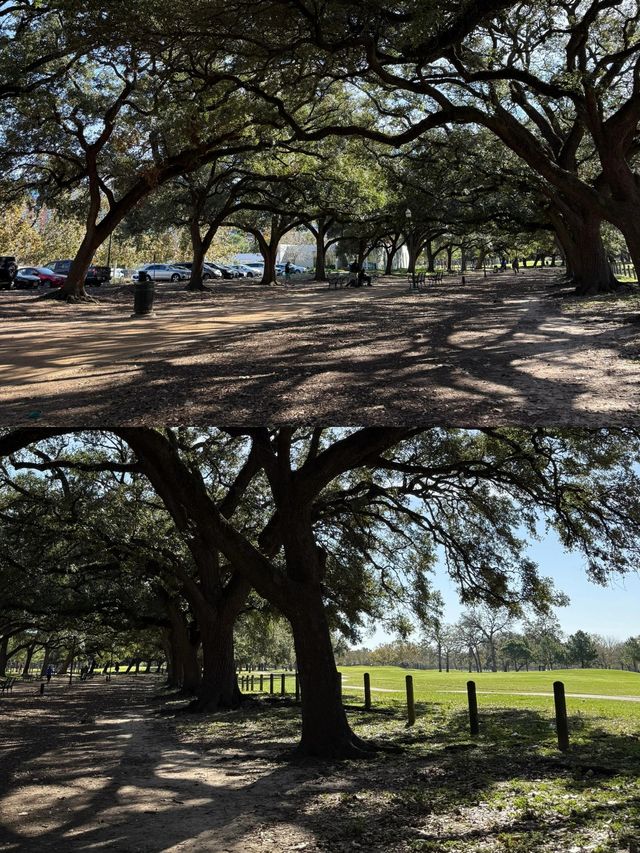 絕美打卡地 | 休斯頓赫曼公園Hermann Park
