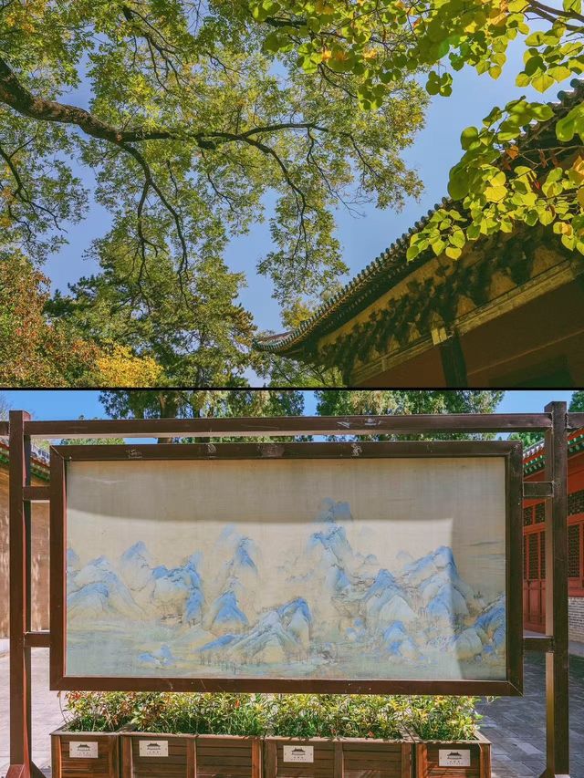 探秘永樂宮，解鎖元代壁畫的千年傳奇