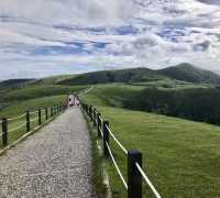 台北陽明山國家公園｜自然野趣與地質奇觀之旅