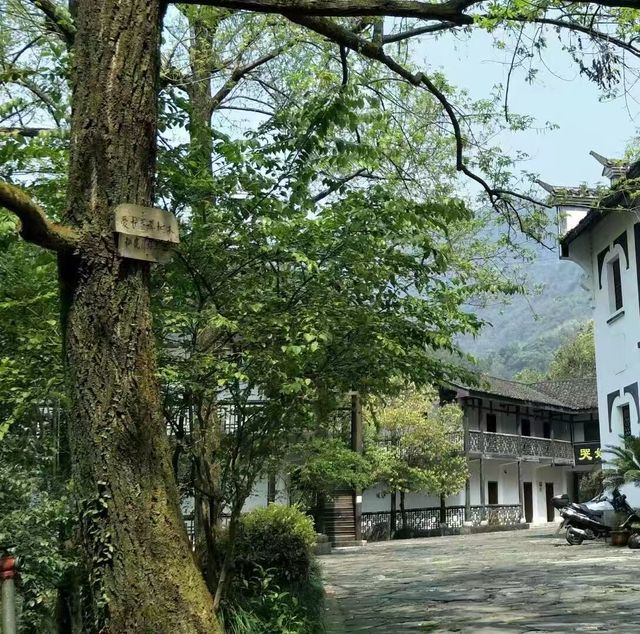 湖北宜昌 長陽 巴人寨
