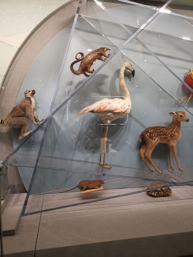 中國海關博物館