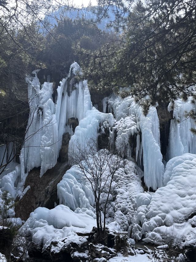 5日暢遊成都-九寨溝 熊貓基地打卡全攻略