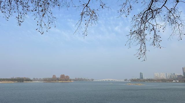 連雲港｜蘇北私藏的「人間仙境」，山海治癒力滿分的寶藏小城！