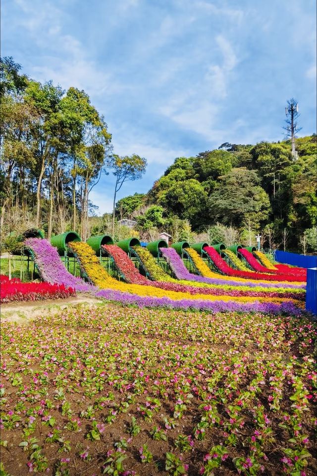 廣東寶藏森林公園，可駕車前往！