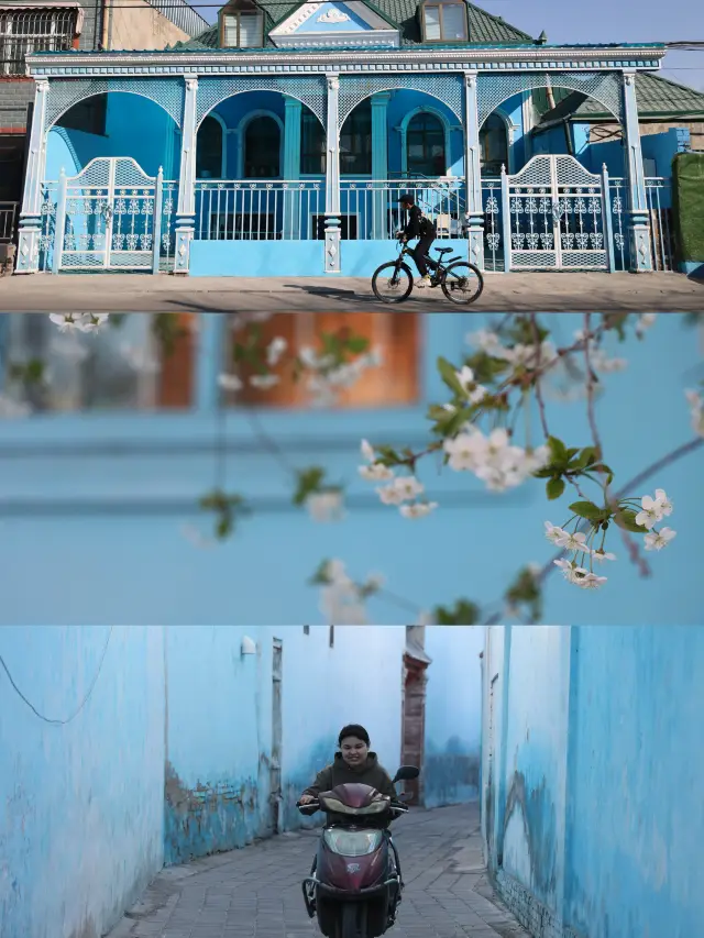 イニン杏の花穴場ルート｜このルートなら春を満喫できる！