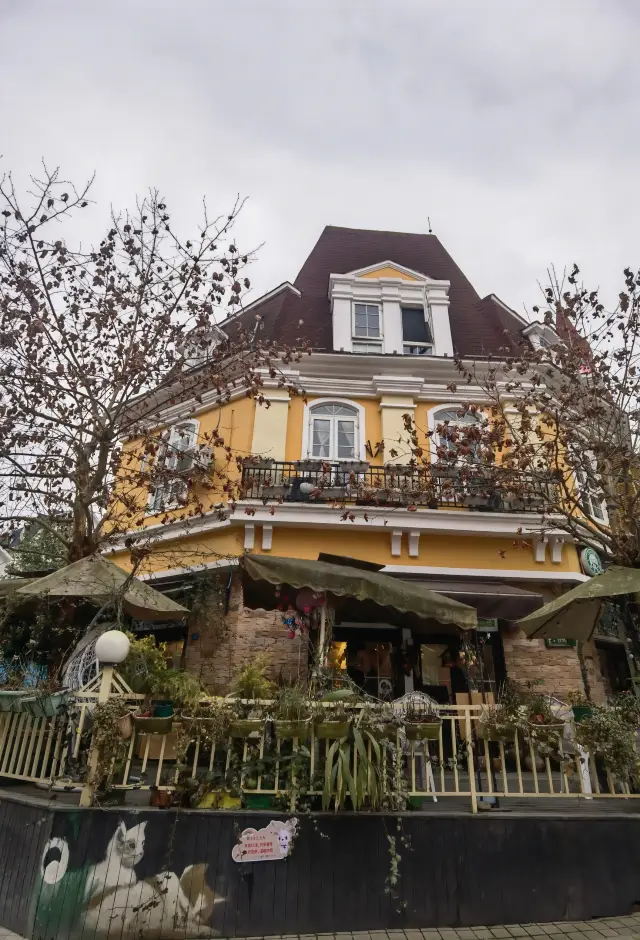 Pengzhou Travel Guide: Hiking, Flower Viewing, and Ancient Town Visits—All in One Place!