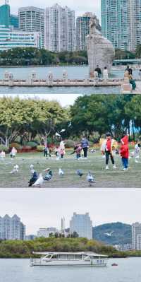 週末「轉城溜娃計劃」，入住廈門源昌凱賓斯基大酒店