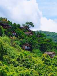 Don't Miss the Beauty of Yalong Bay Tropical Paradise Forest Park in Sanya!