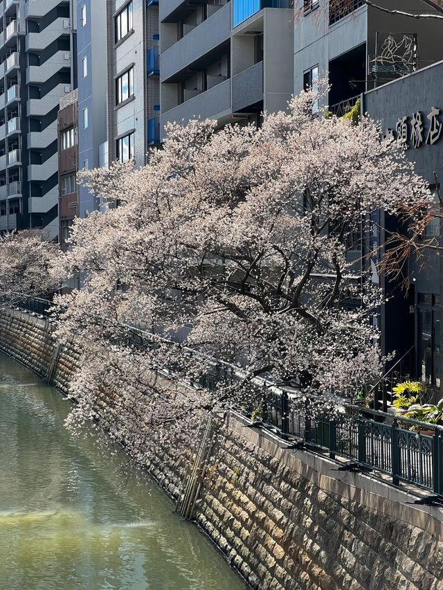 無聊名古屋來一次就夠了