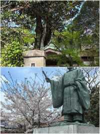 對馬市旅遊攻略