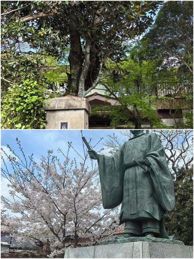 對馬市旅遊攻略