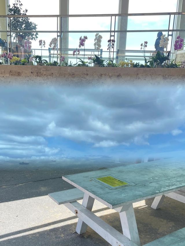 沖繩秘境探索！宜野灣市的絕美海灘與寧靜時光