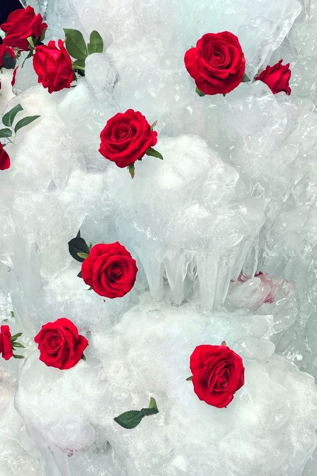 炎炎夏日，七步溝的清涼誘惑誰能抵擋？