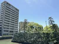 探索德島綠肺：中央公園，城市中的自然樂園！