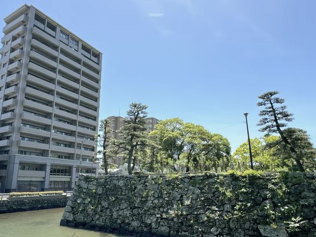 探索德島綠肺：中央公園，城市中的自然樂園！